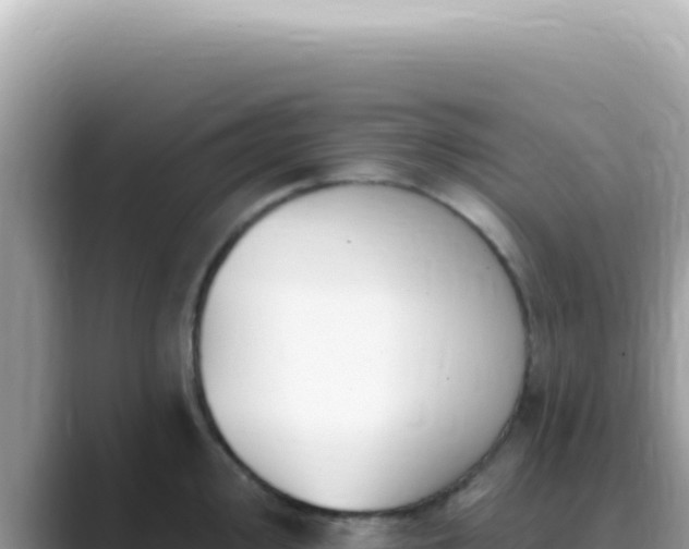 X0000089861000200707051130