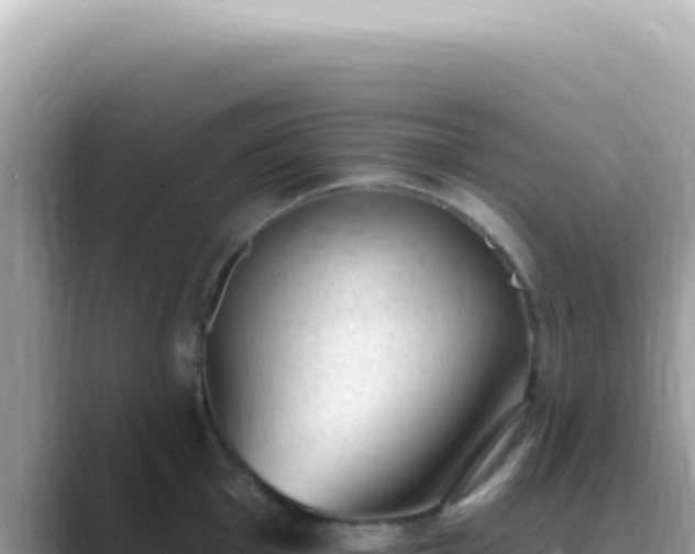 X0000089861001200707051130
