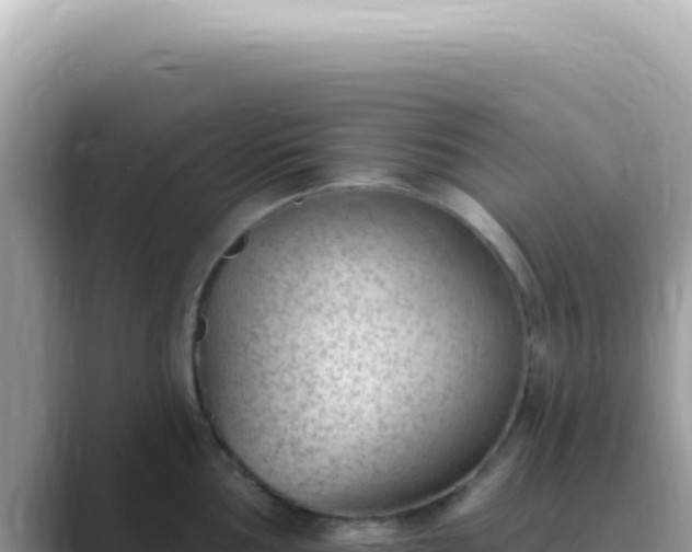 X0000089861002200707051130
