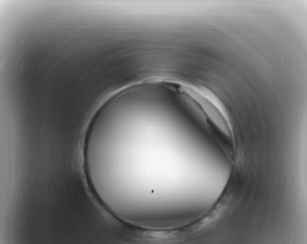 X0000089861005200707051130