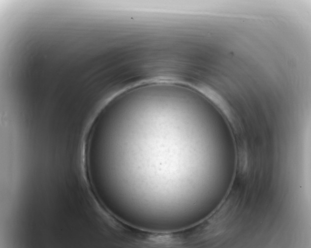 X0000089861006200707051130