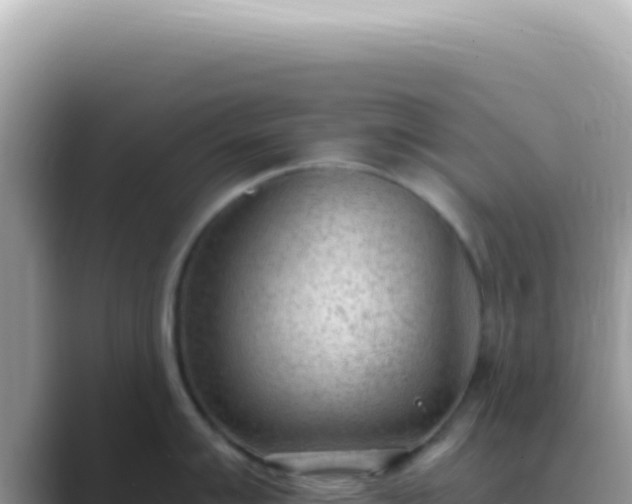 X0000089861007200707051130