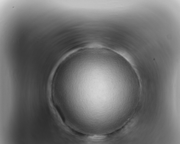 X0000089861008200707051130