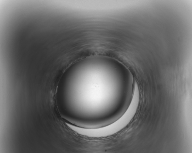 X0000089861010200707051129