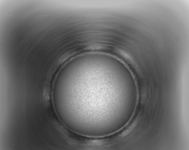 X0000089861017200707051129