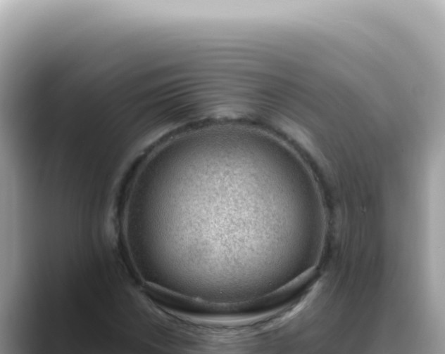 X0000089861018200707051129