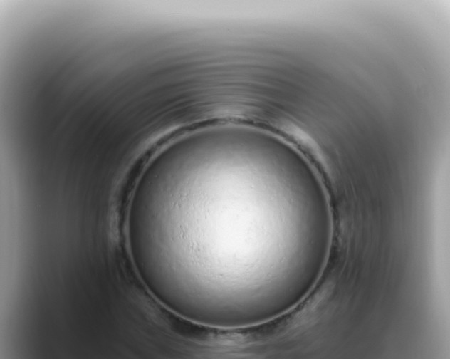 X0000089861019200707051129