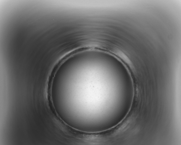 X0000089861020200707051129