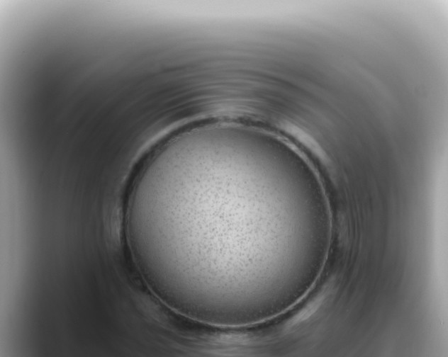 X0000089861021200707051129