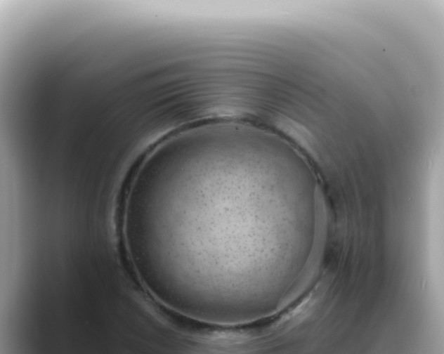 X0000089861026200707051129