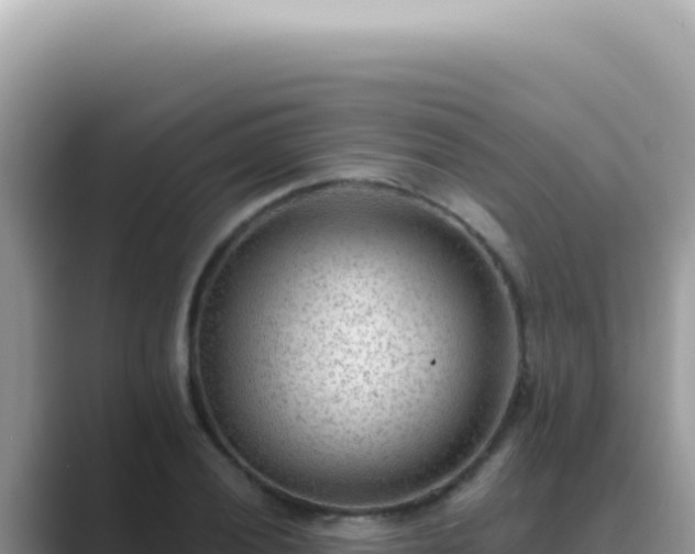 X0000089861028200707051129