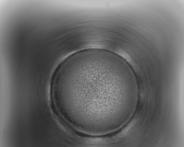 X0000089861030200707051129