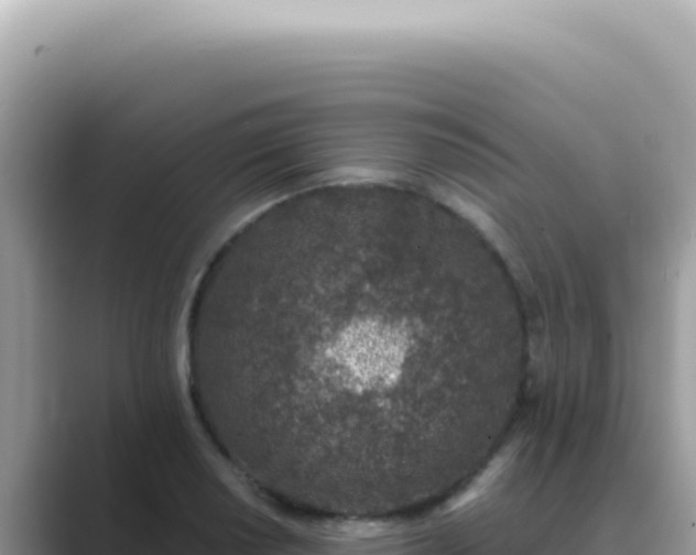 X0000089861034200707051129