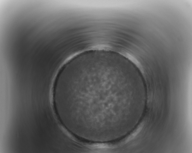 X0000089861037200707051130