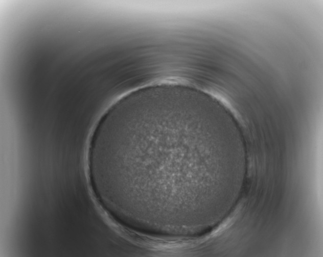 X0000089861038200707051130