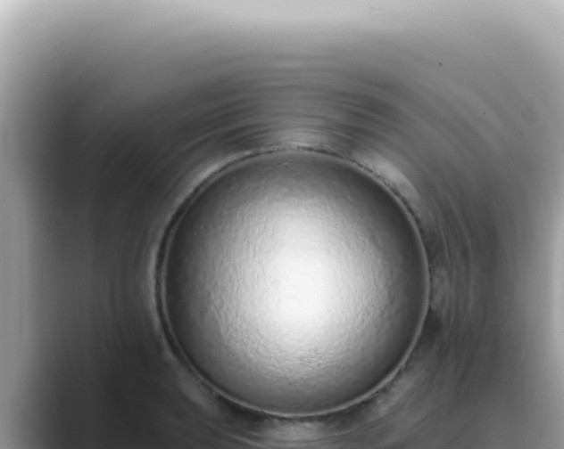 X0000089861039200707051130