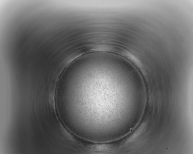 X0000089861041200707051130