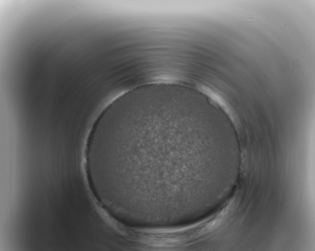 X0000089861042200707051130