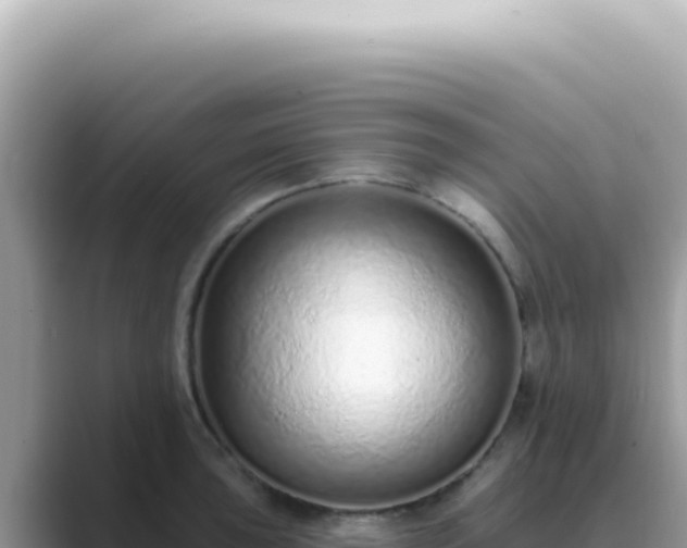 X0000089861043200707051130