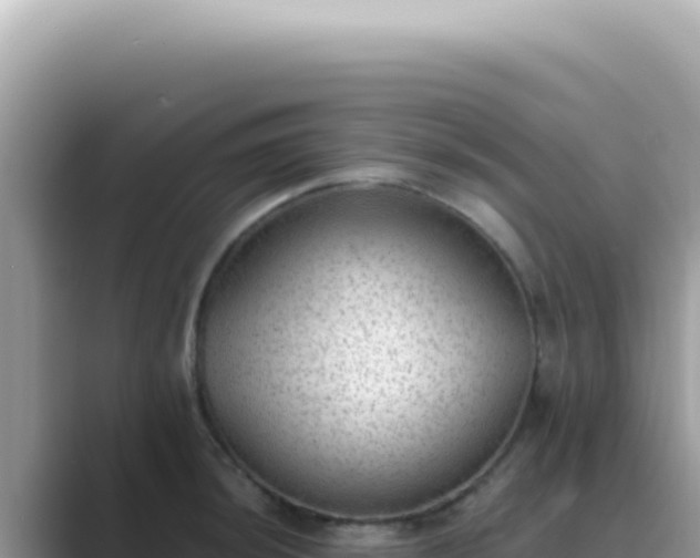 X0000089861044200707051130