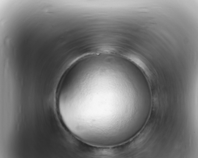 X0000089861047200707051130