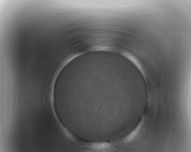 X0000089861050200707051130