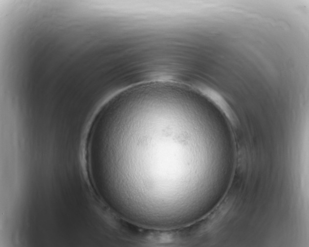 X0000089861051200707051130