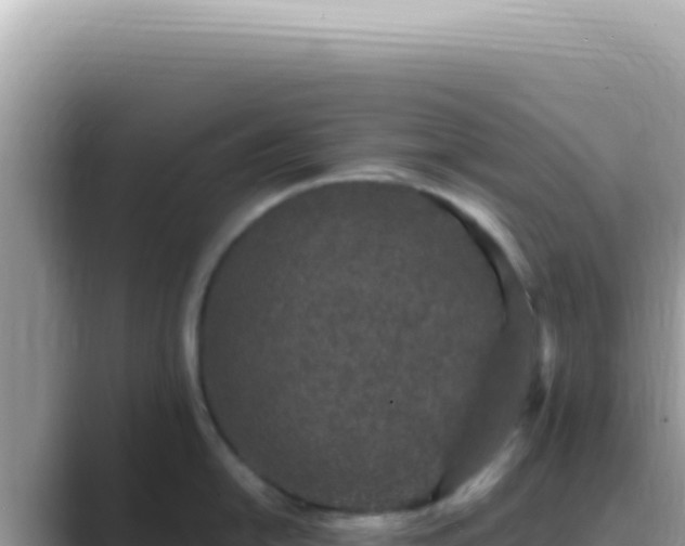 X0000089861054200707051130