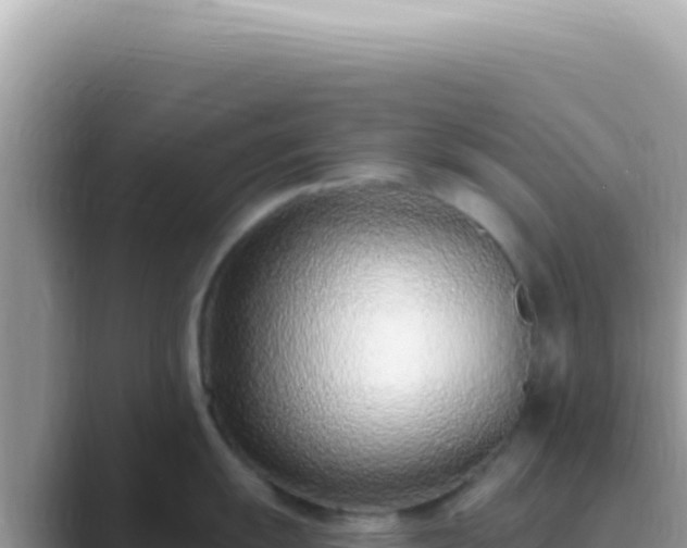X0000089861055200707051130