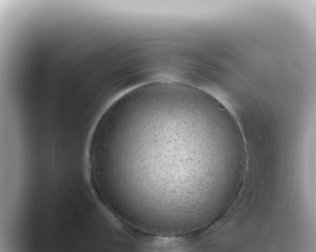X0000089861056200707051130