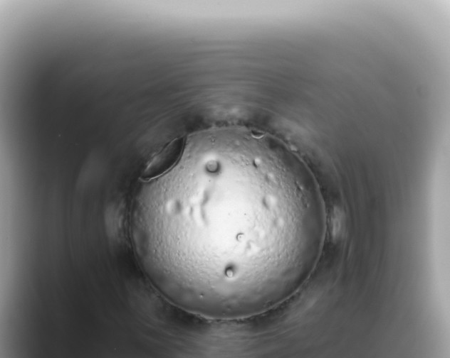 X0000089861059200707051129