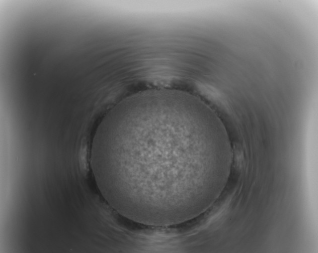 X0000089861060200707051129