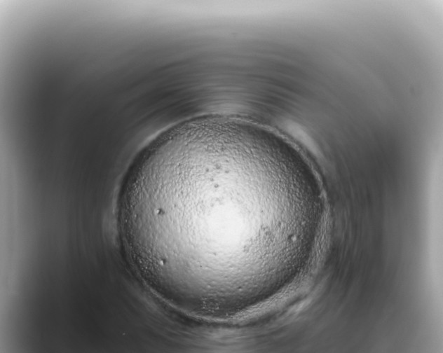 X0000089861071200707051129