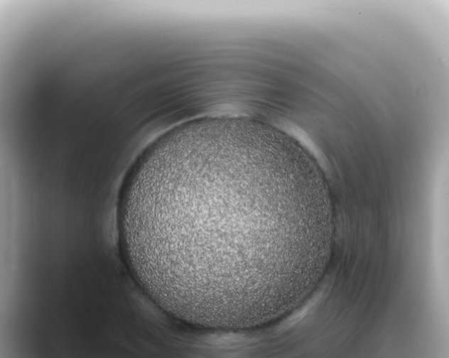 X0000089861075200707051129