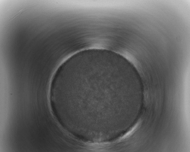 X0000089861077200707051129