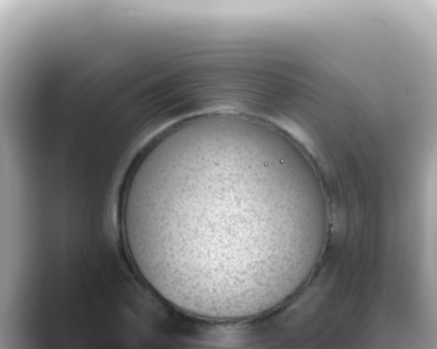 X0000089861078200707051129