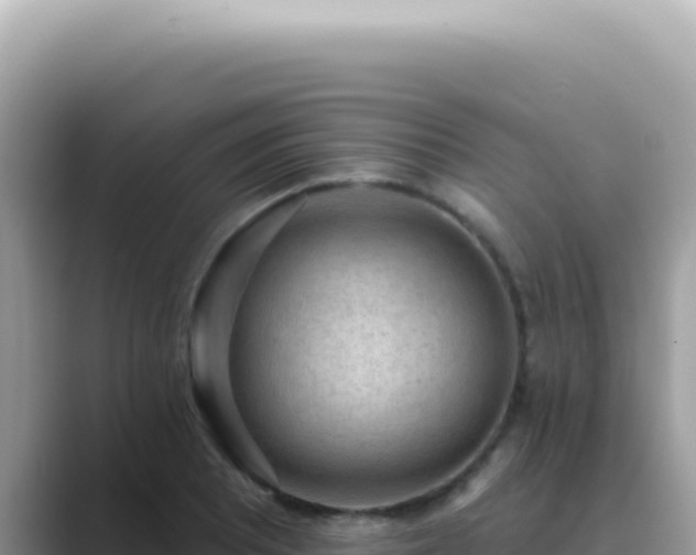 X0000089861081200707051129