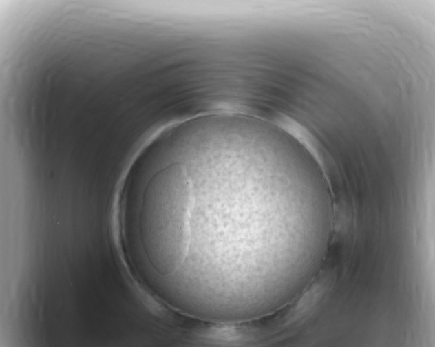 X0000089861098200707051129