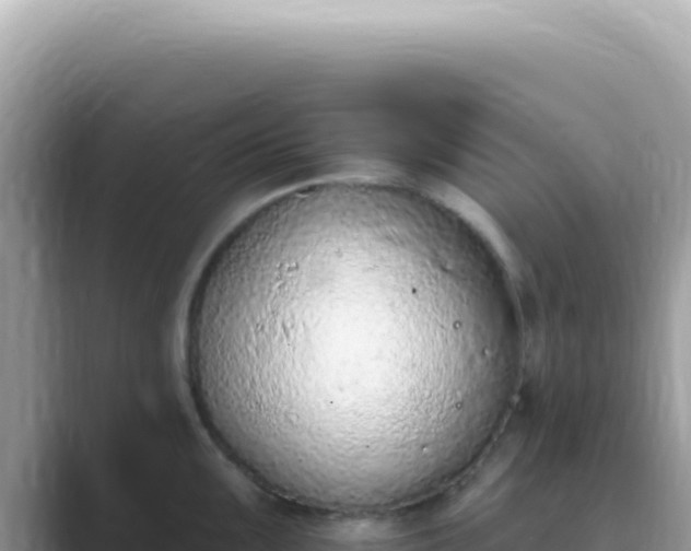X0000089861099200707051129