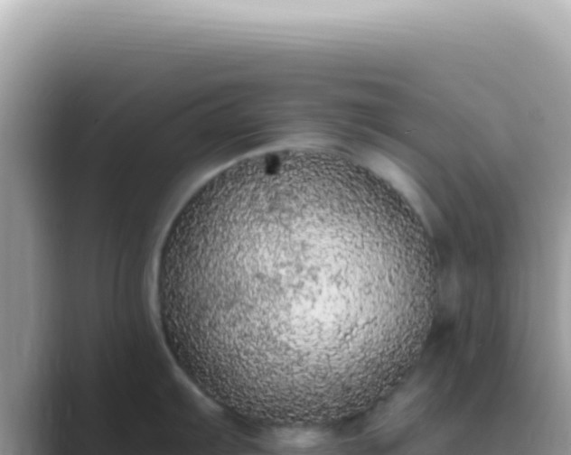 X0000089861103200707051129