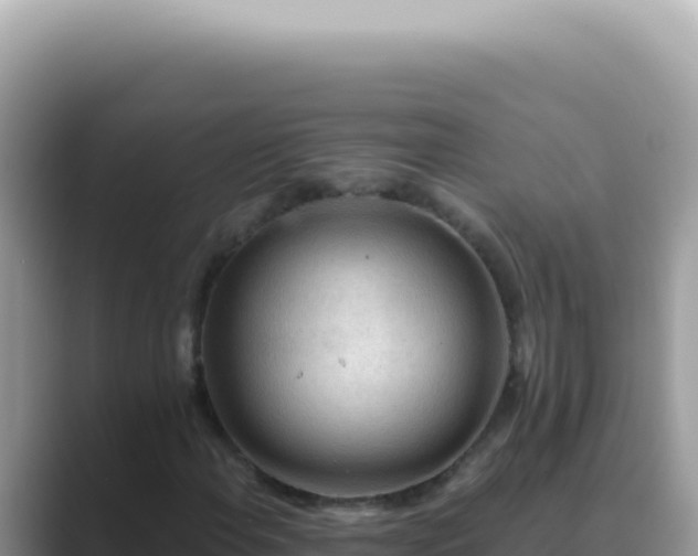 X0000089861108200707051128