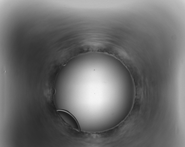 X0000089861109200707051128
