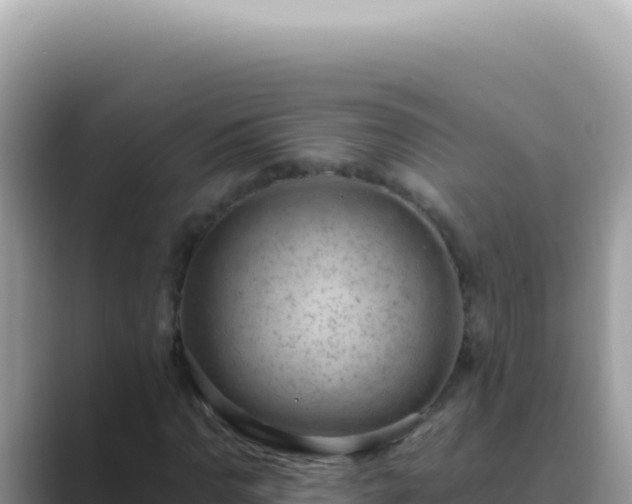 X0000089861110200707051128
