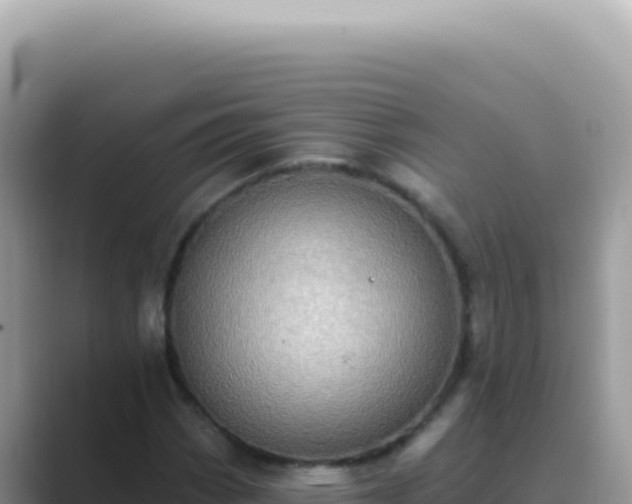 X0000089861113200707051128