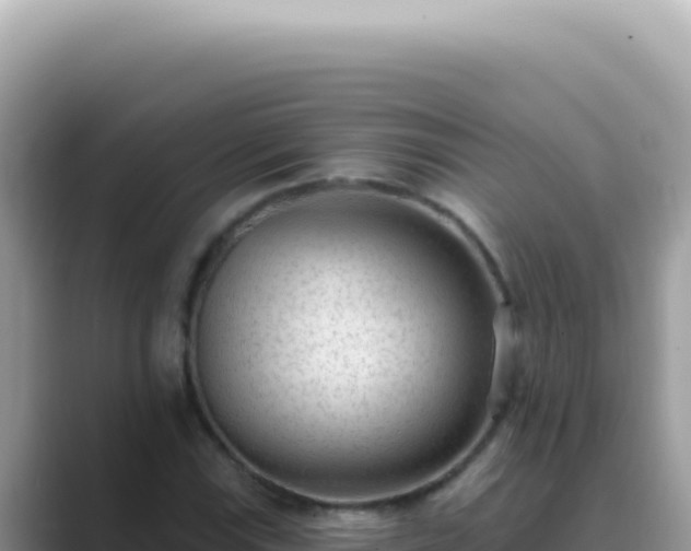 X0000089861115200707051128