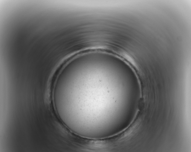X0000089861116200707051128