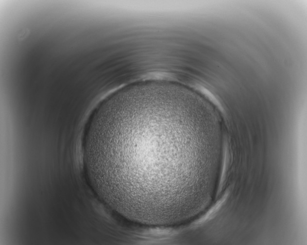 X0000089861117200707051128