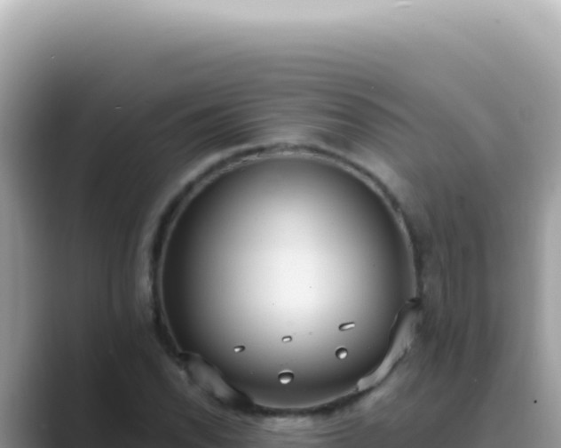 X0000089861118200707051128