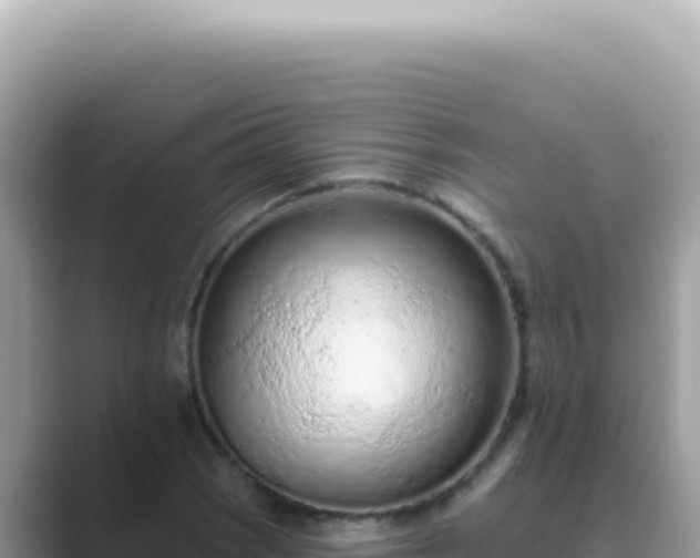 X0000089861121200707051128