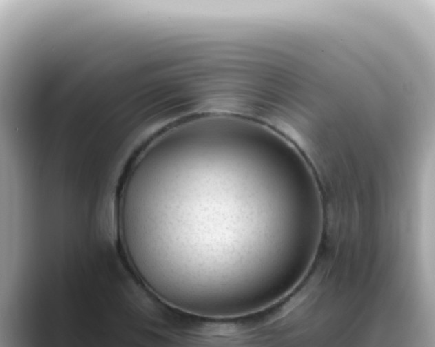X0000089861123200707051128